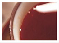 ip攻击器网页版